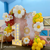 Allenjoy Chiara Arched Backdrop Wall Set Birthday&Baby Shower&Wedding Party Decoration