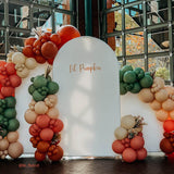 Allenjoy Chiara Arched Backdrop Wall Set Birthday&Baby Shower&Wedding Party Decoration