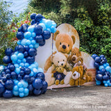 Allenjoy Chiara Arched Backdrop Wall Set Birthday&Baby Shower&Wedding Party Decoration