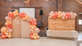 Allenjoy Chiara Arched Backdrop Wall Set Birthday&Baby Shower&Wedding Party Decoration