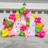 Allenjoy Chiara Backdrop 5 Walls Set Arched Frames With Covers Set