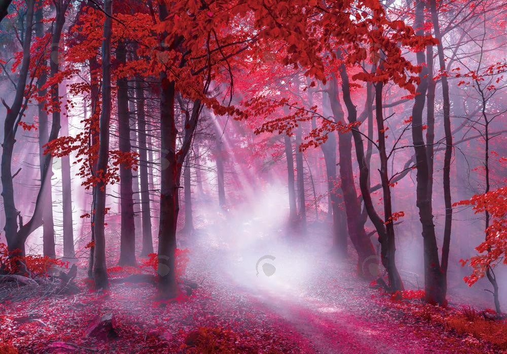 Allenjoy Autumn Red Foggy Forest Photography Backdrop Gbsx-00613