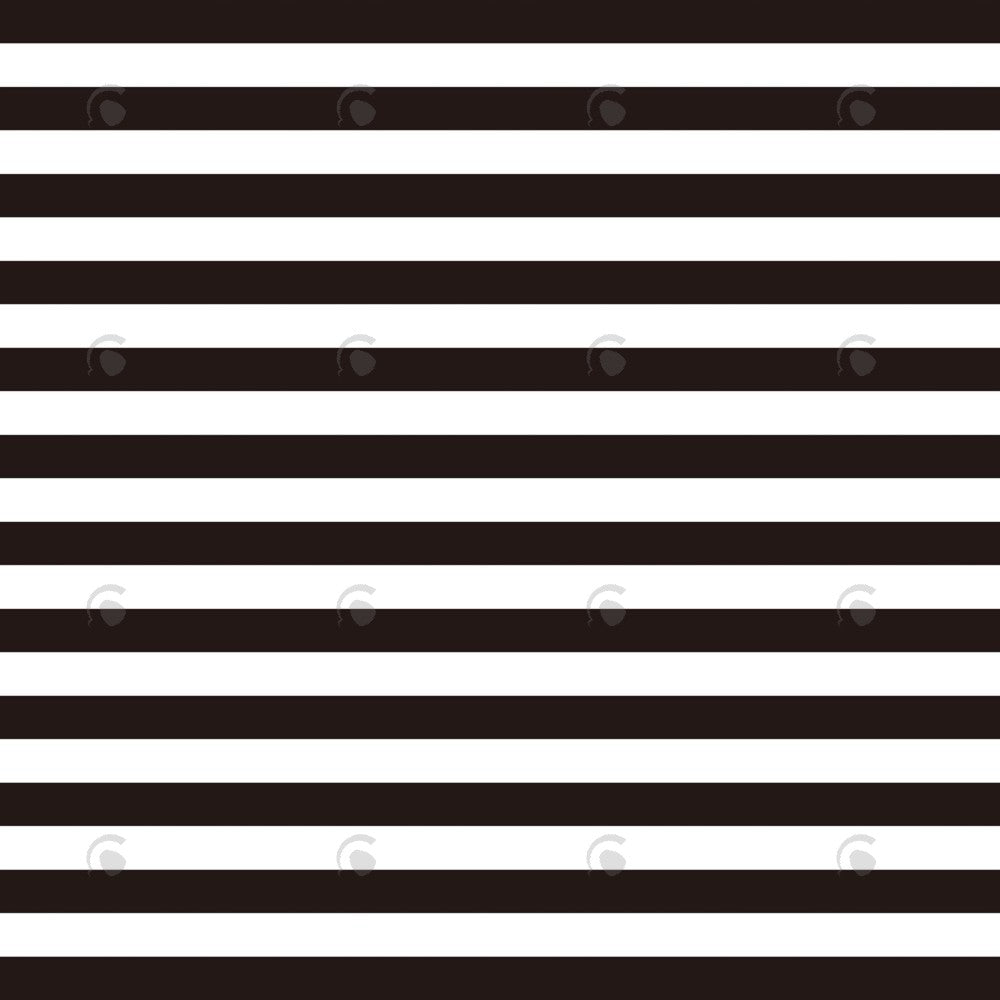 Allenjoy Black And White Stripe Photography Backdrop Gbsx-00235