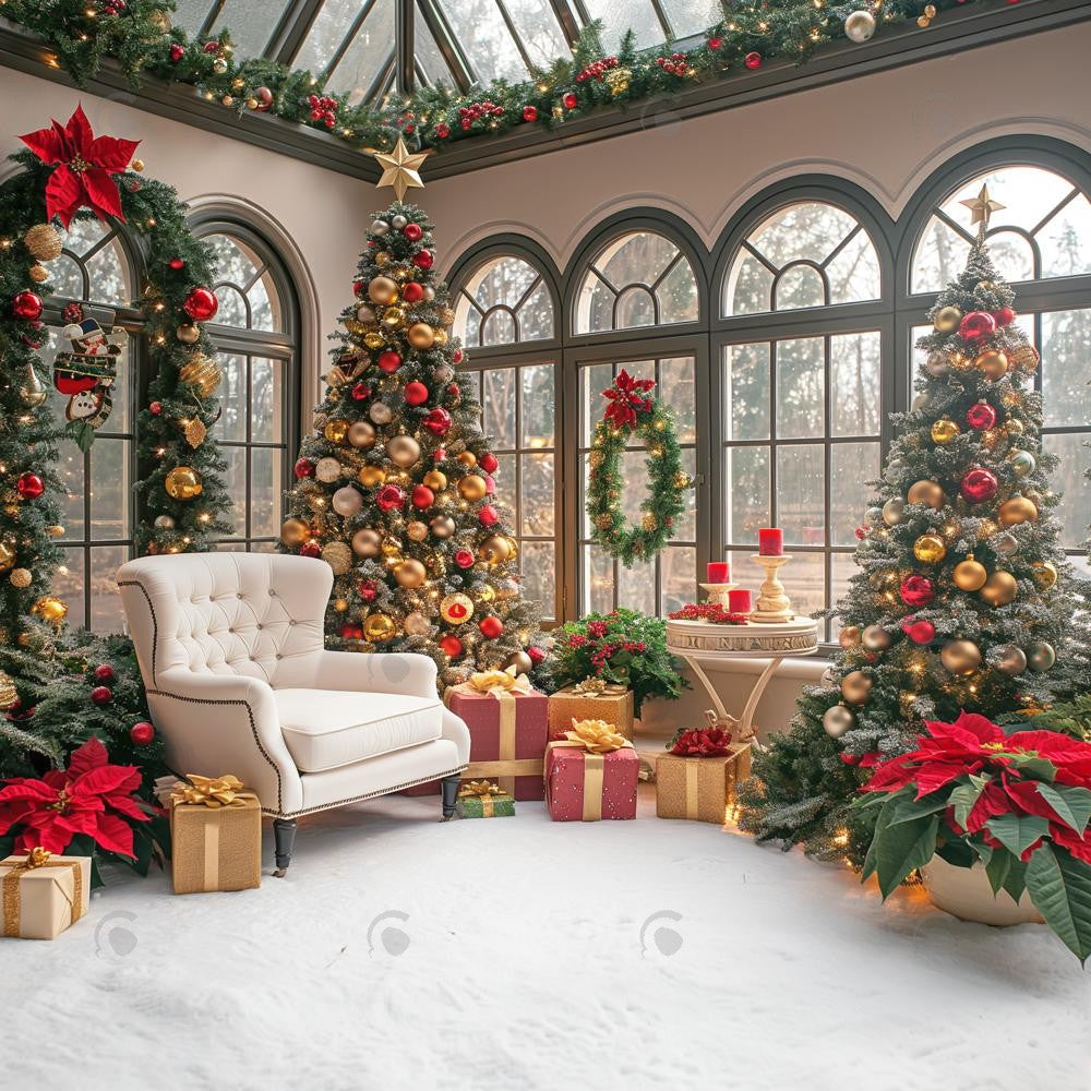 Allenjoy Christmas Arboretum Photography Backdrop Gbsx-00210