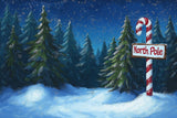 Allenjoy Christmas North Pole Forest Photography Backdrop Gbsx-01191