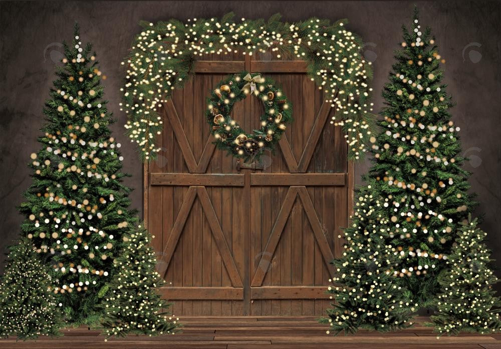 Allenjoy Christmas Rustic Barn Door Photography Backdrop GBSX-00044