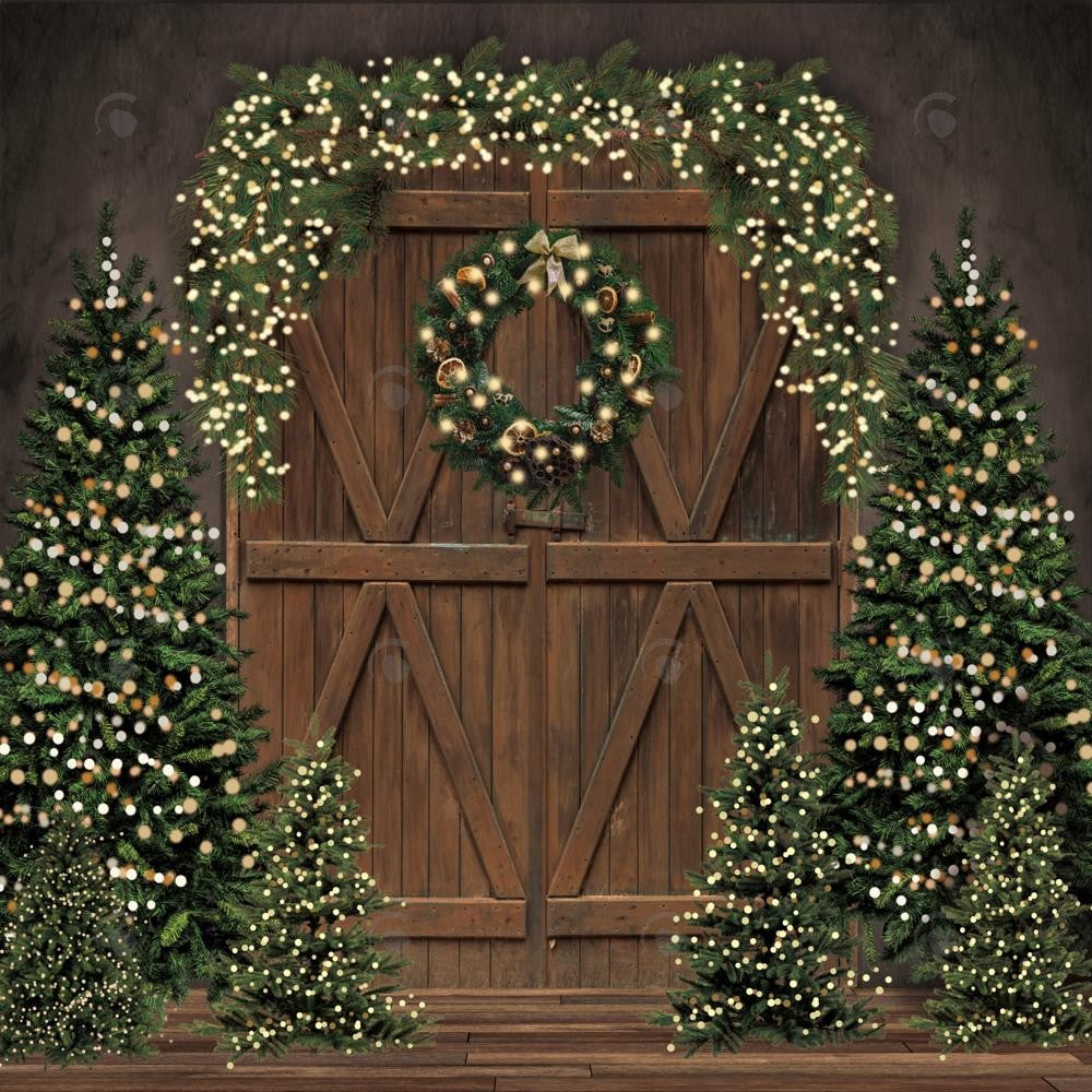 Allenjoy Christmas Rustic Barn Door Photography Backdrop GBSX-00044