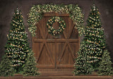 Allenjoy Christmas Rustic Barn Door Photography Backdrop GBSX-00044