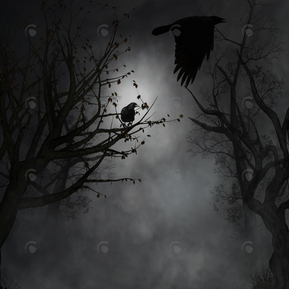 Allenjoy Dark Forest Night Photography Backdrop Gbsx-00729