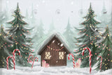 Divine Christmas Cottage Photography Backdrop GBSX-99754