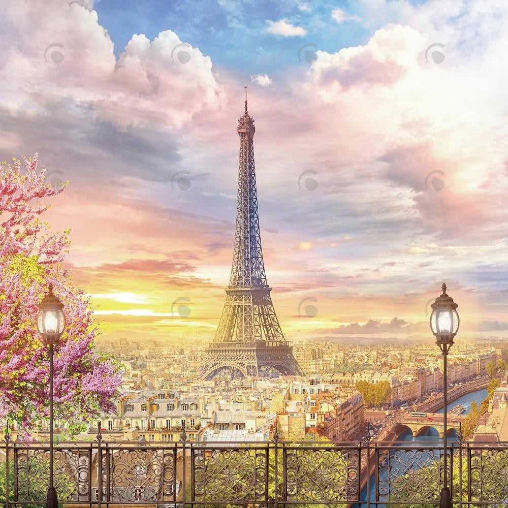 Allenjoy Eiffel Tower Landscape Photography Backdrop Gbsx-00678