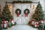 Allenjoy Festival Christmas Barn Door Photography Backdrop Gbsx-01134