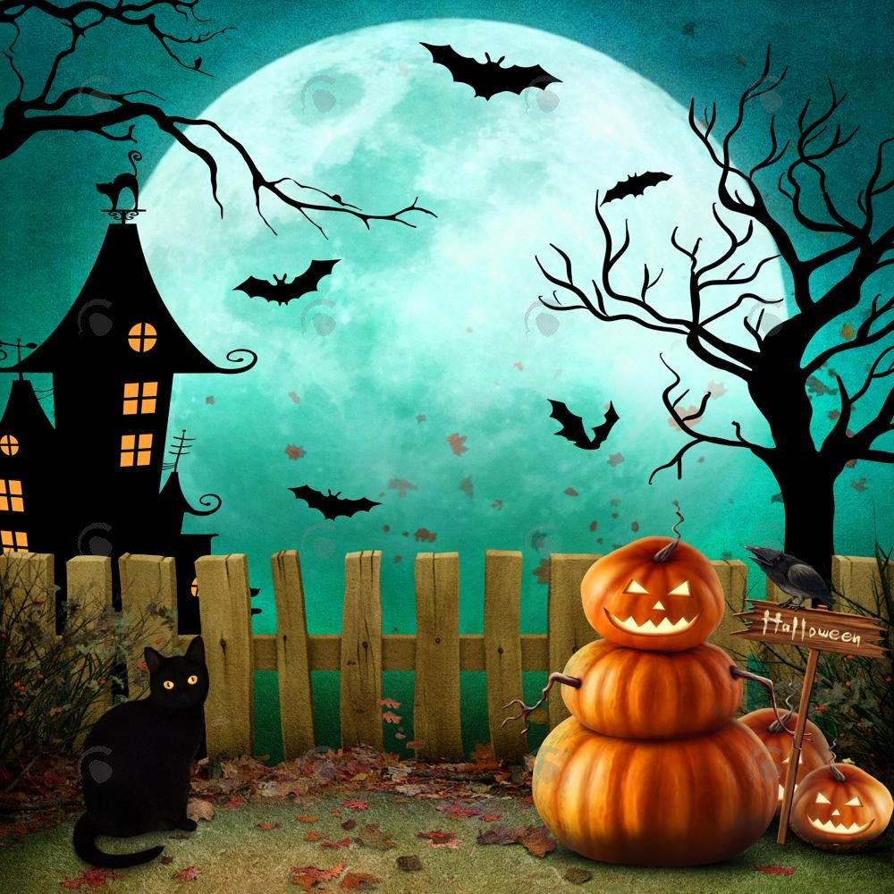Allenjoy Halloween Full Moon Night Photography Backdrop GBSX-00158