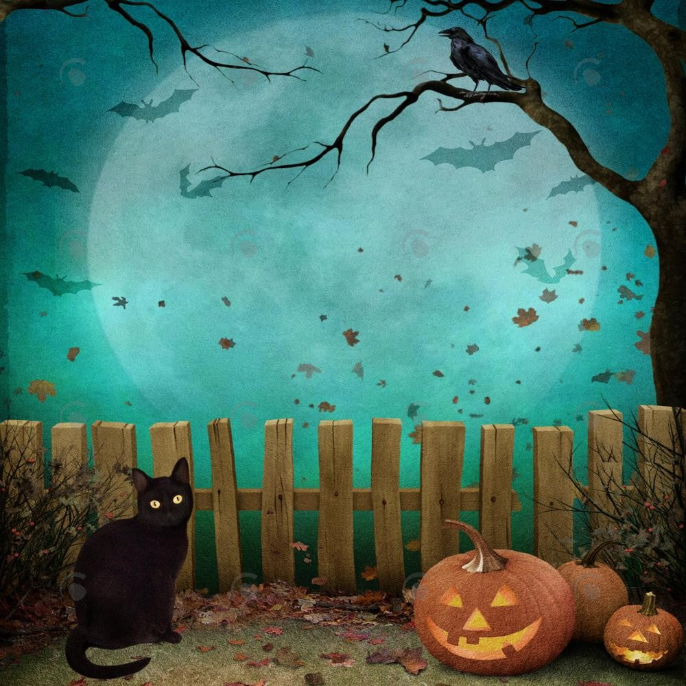 Allenjoy Halloween Full Moon Night Photography Backdrop GBSX-00161
