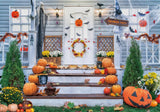 Allenjoy Halloween House Decorations Photography Backdrop GBSX-00176