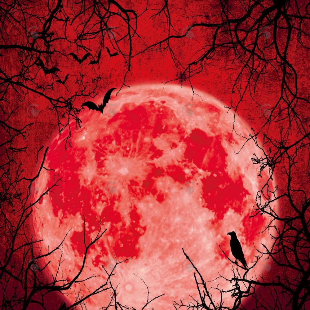 Allenjoy Halloween Red Full Moon Photography Backdrop Gbsx-00227