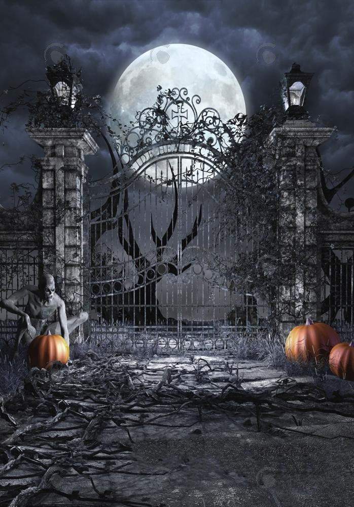 Allenjoy Halloween Scary Gate  Photography Backdrop GBSX-00165