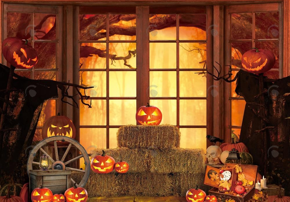 Allenjoy Halloween Window Photography Backdrop GBSX-00168