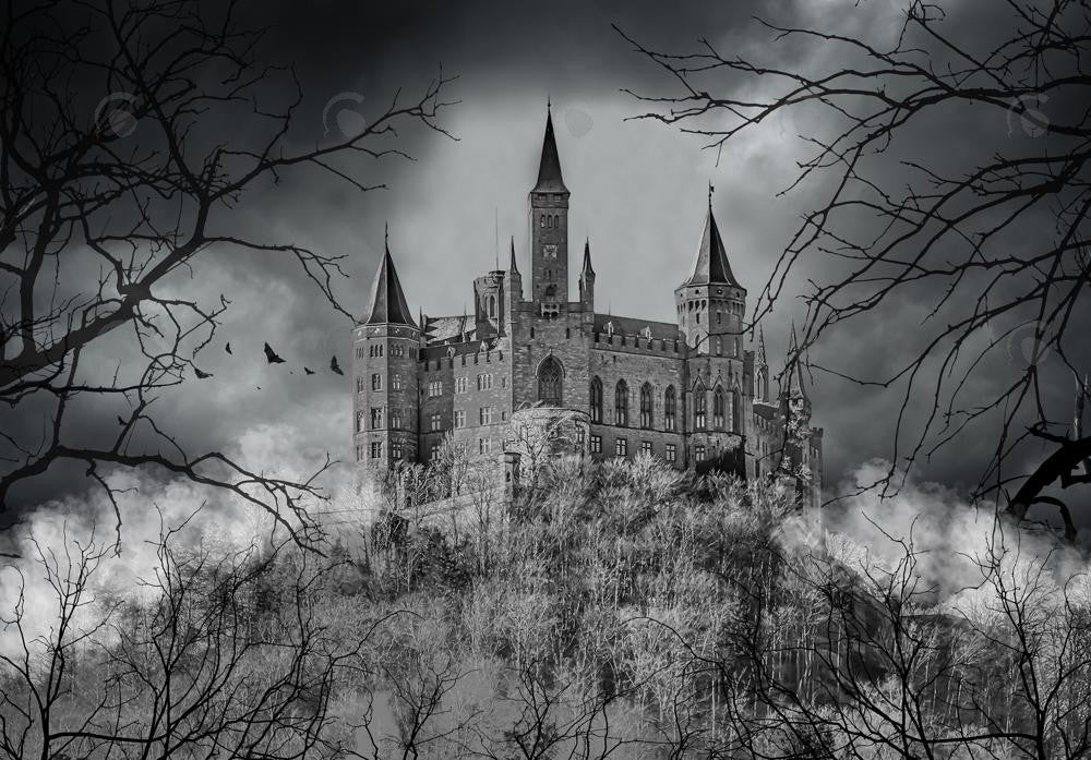 Allenjoy Horror Halloween Castle Photography Backdrop Gbsx-00663