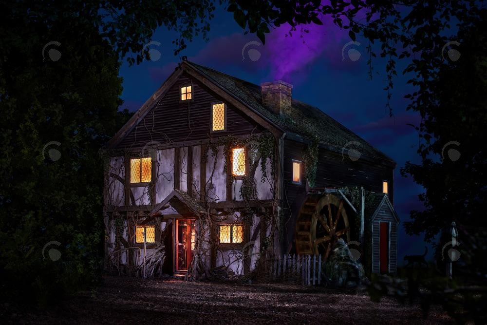 Allenjoy Horror Haunted House Forest Night Photography Backdrop Gbsx-00896