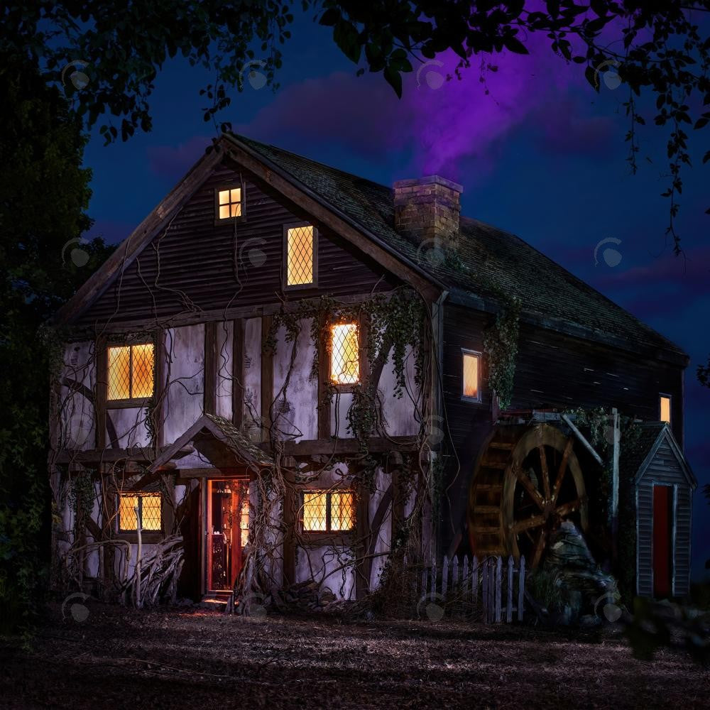 Allenjoy Horror Haunted House Forest Night Photography Backdrop Gbsx-00896