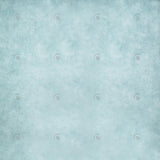 Allenjoy Light Blue Frozen Texture Photography Backdrop Gbsx-00279