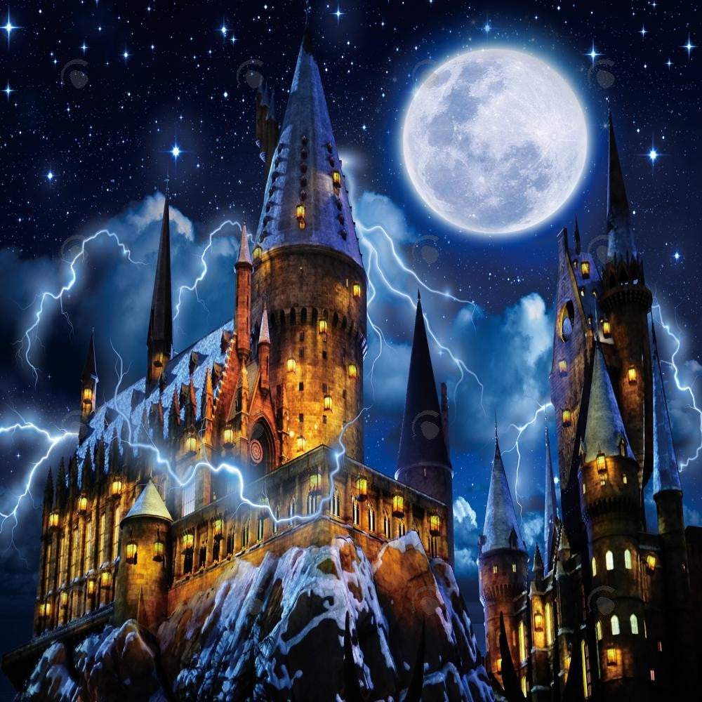 Allenjoy Magic Wizard Castle Photography Backdrop Gbsx-00928