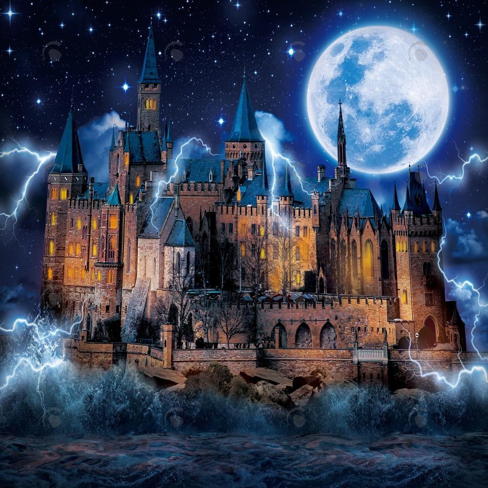 Allenjoy Magic Wizard Castle Photography Backdrop Gbsx-00929