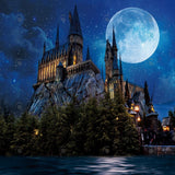 Allenjoy Magic Wizard Castle Photography Backdrop Gbsx-00930