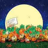 Pumpkins Field Moon Night Photography Backdrop GBSX-99871