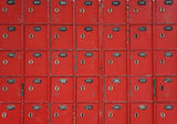 Allenjoy Red School Locker Photography Backdrop Gbsx-00521