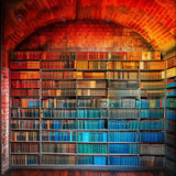 School Library Photography Backdrop GBSX-99893