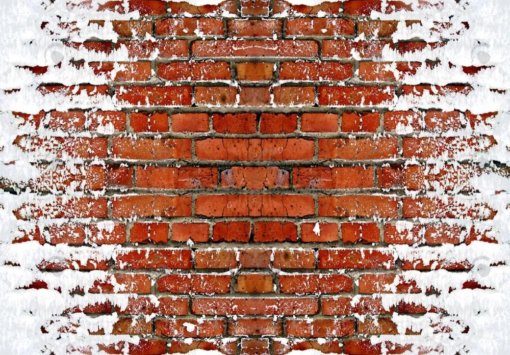 Snowy Brick Path Photography Backdrop GBSX-99901