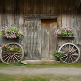 Spring Wood Barn Photography Backdrop GBSX-99916