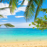 Allenjoy Summer Tropical Beach Photography Backdrop Gbsx-00425