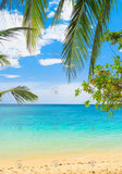 Allenjoy Summer Tropical Beach Photography Backdrop Gbsx-00425