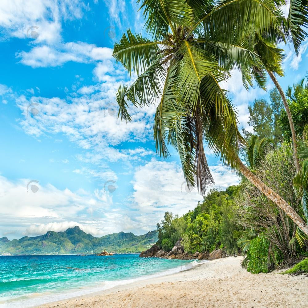 Allenjoy Tropical Beach With Palm Photography Backdrop Gbsx-00396