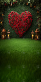 Allenjoy Valentine Garden Of Heart Roses Photography Backdrop Gbsx-01411
