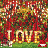 Allenjoy Valentine Love Rose Garden Photography Backdrop Gbsx-01273