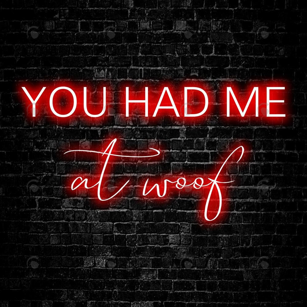 Allenjoy Valentine Pet You Had Me At Woof Photography Backdrop Gbsx-01293