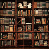 Allenjoy Vintage Bookshelf Photography Backdrop Gbsx-00481