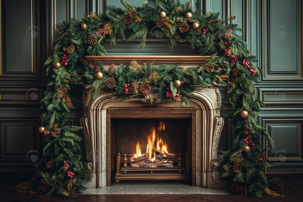 Allenjoy Vintage Christmas Fireplace Photography Backdrop Gbsx-00894