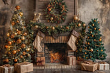 Allenjoy Vintage Loft Fireplace Tree Photography Backdrop Gbsx-00753