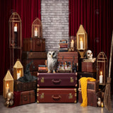Allenjoy Vintage Magical Wizard Room Photography Backdrop Gbsx-00670