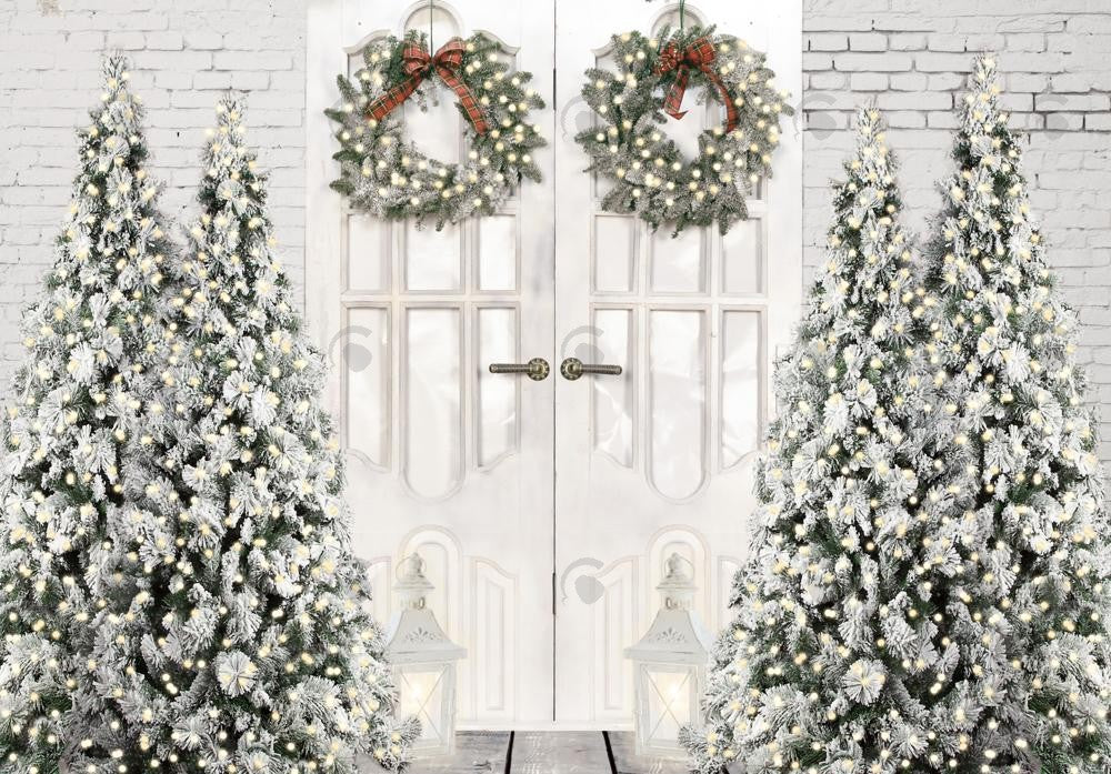Allenjoy White Winter Barn Door Photography Backdrop GBSX-00045