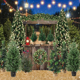Allenjoy Winter Backyard Tree Farm Photography Backdrop Gbsx-00599