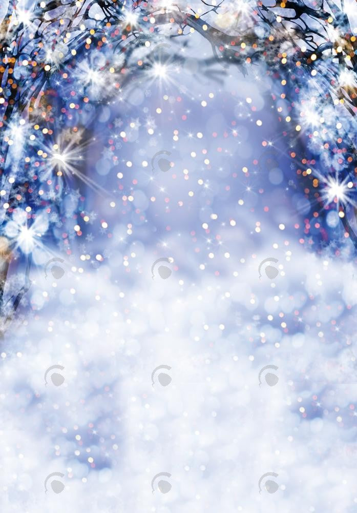 Allenjoy Winter Blue Bokeh Arch Photography Backdrop Gbsx-00677