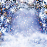 Allenjoy Winter Blue Bokeh Arch Photography Backdrop Gbsx-00677