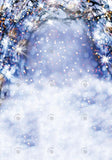 Allenjoy Winter Blue Bokeh Arch Photography Backdrop Gbsx-00677