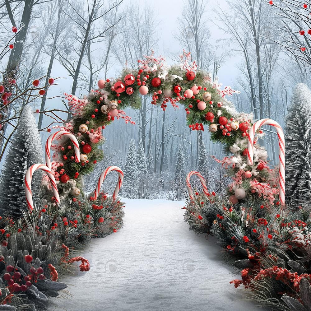 Allenjoy Winter Forest Christmas Tree Arch Photography Backdrop Gbsx-00771